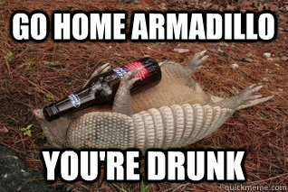 Stuffed armadillo with a beer in their arms, caption over image says 'Go Home Armadillo You're Drunk'